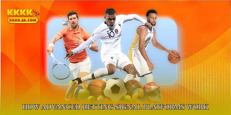 How Advanced Betting Signal Platforms Work