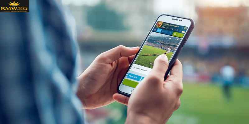 Modern mobile platforms allow users in Bangladesh to access online sportsbook services anywhere.